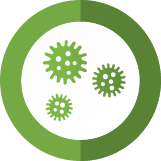 Air Duct Mold Cleaning Pros