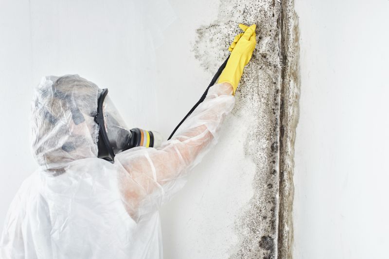 Mold Inspection And Removal Service