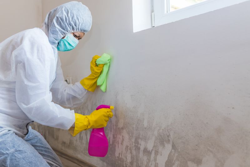 Air Duct Mold Removal in Boca Raton, FL