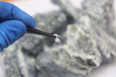 Asbestos Service in Freehold, NJ