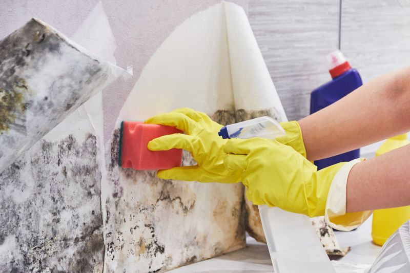 Attic Mold Removal in Broward County, FL