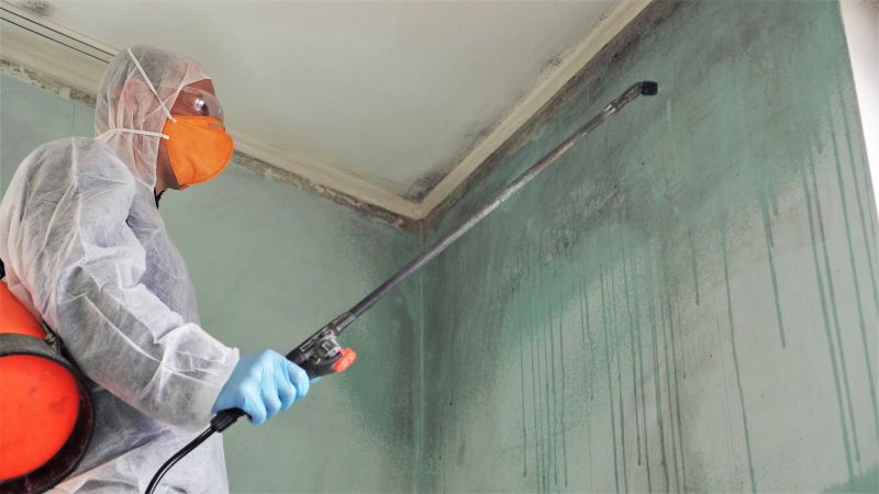 Attic Mold Removal in Boca Raton, FL