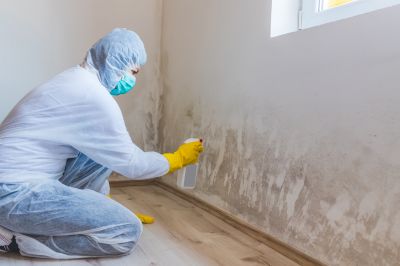 Attic Mold Removal in Bergen County, NJ