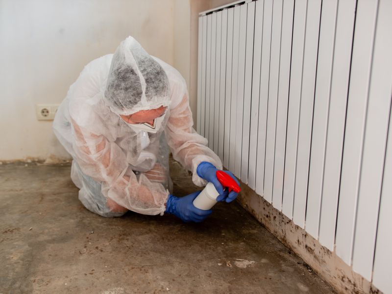 Basement Mold Removal in Frisco, TX
