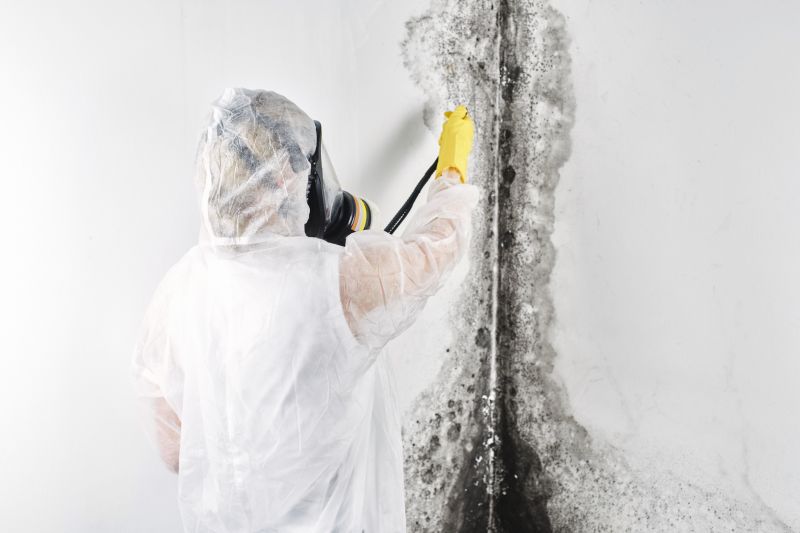 Basement Mold Removal in Broward County, FL