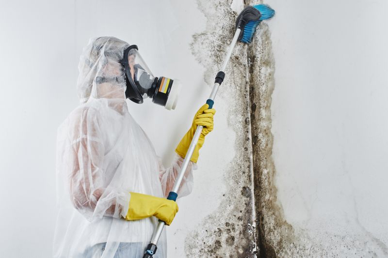 Black Mold Remediation in Boca Raton, FL