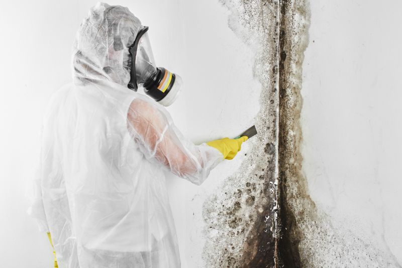Black Mold Remediation in West Palm Beach, FL