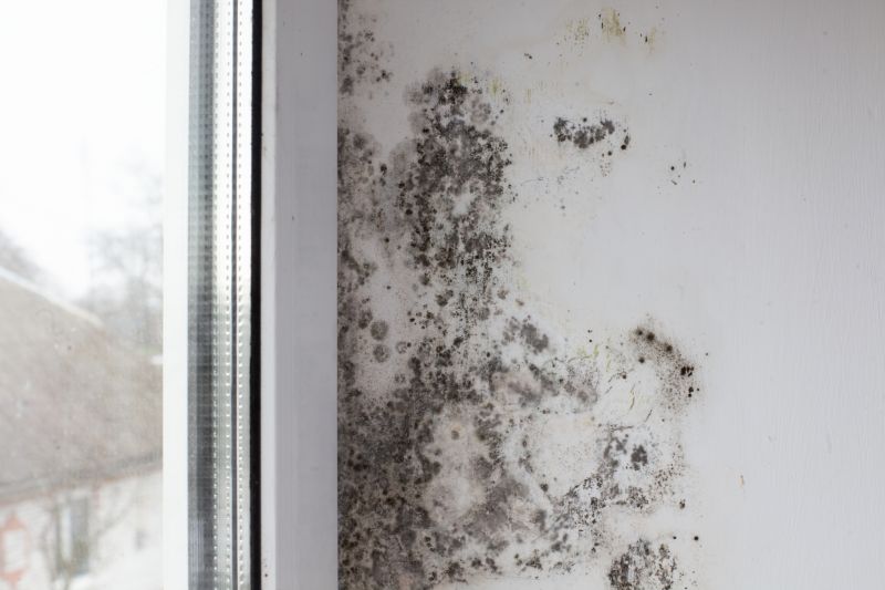 Black Mold Remediation in Bergen County, NJ
