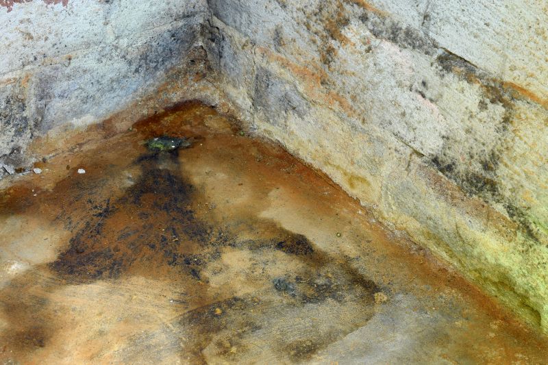 Crawl Space Mold Removal in Jupiter, FL