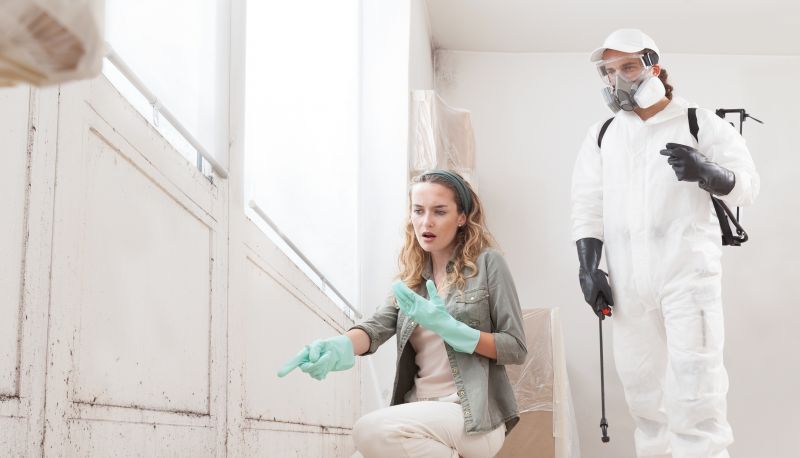 Garage Mold Remediation in Broward County, FL