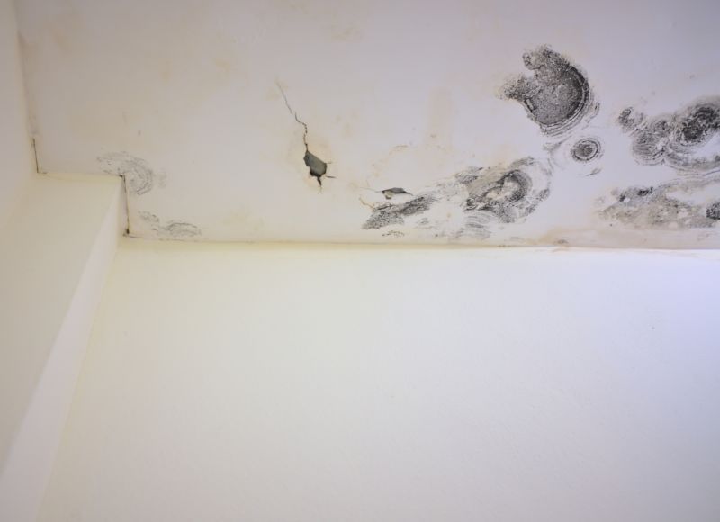 Garage Mold Remediation in Fort Worth, TX