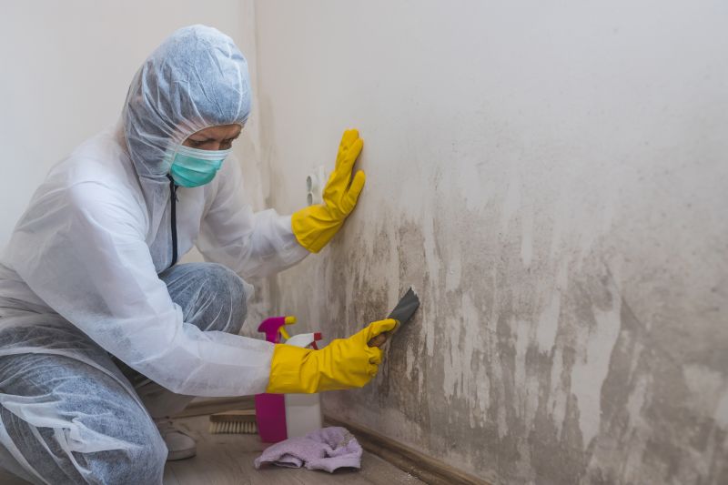 Mold Cleanup Service in Dallas, TX