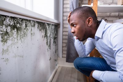Mold Detection in Jupiter, FL