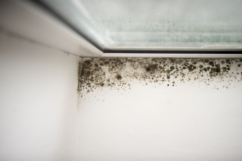Visible Mold Growth