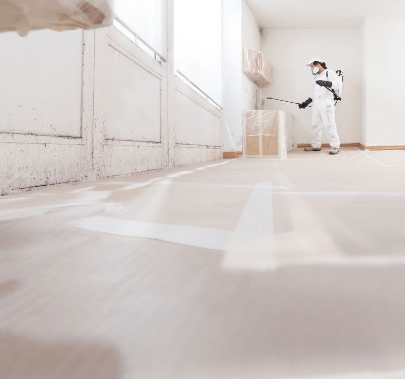 Mold Removal in West Palm Beach, FL