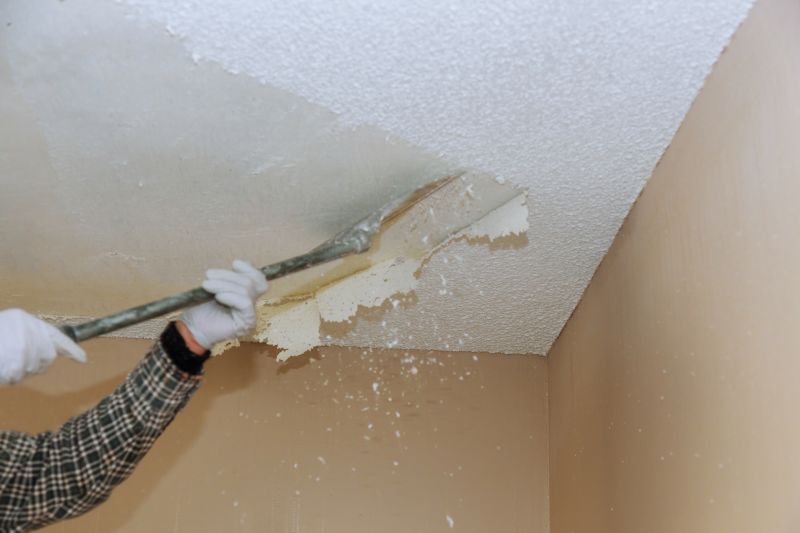 Vermiculite Removal Service in Old Bridge, NJ