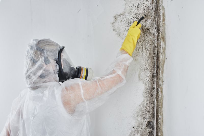 Mold Remediation Experts