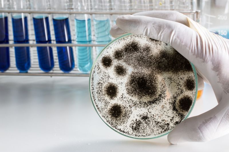 Jupiter, FL