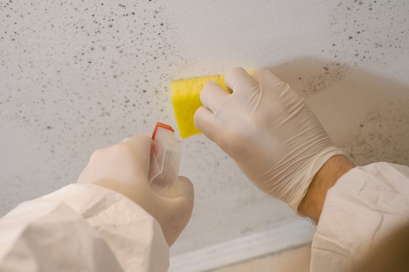 Attic Mold Remediation in West Palm Beach, FL