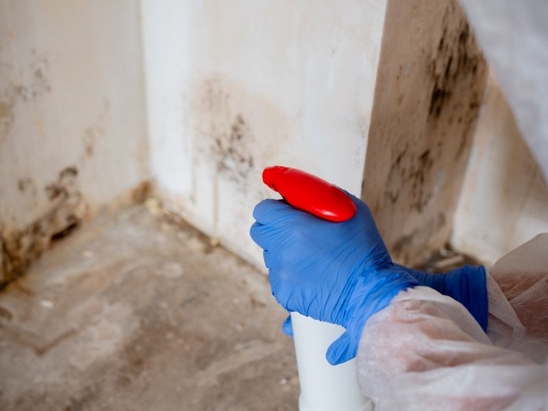 Basement Mold Remediation in Jupiter, FL