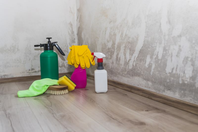 Black Mold Remediation in Jupiter, FL