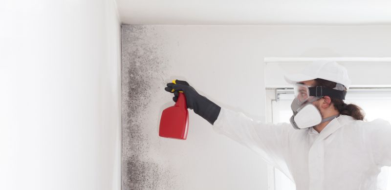 Crawlspace Mold Remediation in Bergen County, NJ
