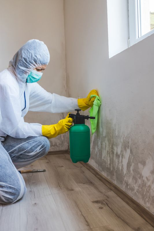 Mold Treatment Service in Jupiter, FL